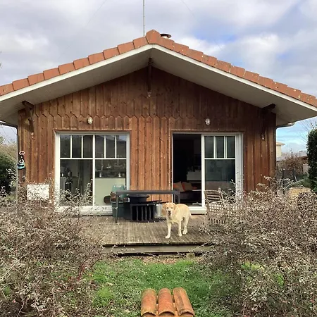 Location Dans Entier Проживание в семье